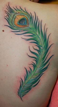 Tattoos - Peacock Feather - 37643